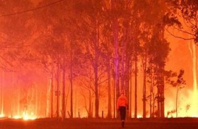 حريق غابات يهدد بلدة بقائمة التراث