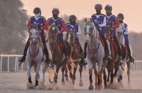 كأس رئيس الدولة للقدرة تنطلق اليوم بسباق «الإسطبلات الخاصة»