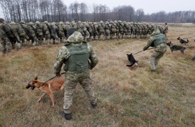 لماذا كل هذا العدد من الجدران في عالم اليوم...؟