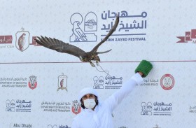 انطلاق مسابقة مهرجان الشيخ زايد للصيد بالصقور الخميس المقبل