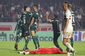 بالميراس ينفرد بصدارة الدوري البرازيلي