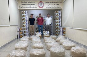 شرطة أبوظبي تضبط 2.25 مليون حبة «كبتاجون» في صناديق فواكه