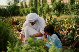 فريق عام الاستدامة يدعو الجميع إلى تكثيف الجهود لمواجهة تحديات المناخ