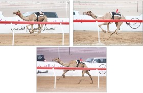 منافسات اللقايا تدخل مراحلها الحاسمة في التمهيدي الثاني لمهرجان العين 2026 