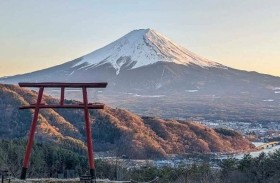 ينجوان بأعجوبة بعد سقوطهما من ارتفاع شاهق