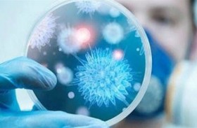هل يكبح فيروس كورونا نمو سرطان الرئة؟