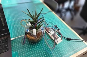 نباتات تتحدث!