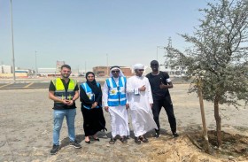 بلدية مدينة أبوظبي تنجز إعادة زراعة الأشجار المتضررة من الحالة الجوية وصيانة المرافق العامة والترفيهية