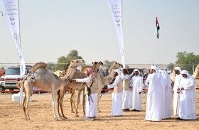 الأرشيف والمكتبة الوطنية يرتقي بأمن المعلومات إلى معيار الآيزو27001:2022