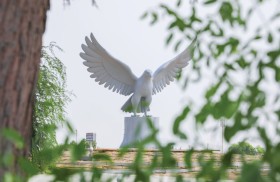 بلدية منطقة الظفرة تطلق مشروع تطوير وتأهيل 23 دواراً في مدن المنطقة