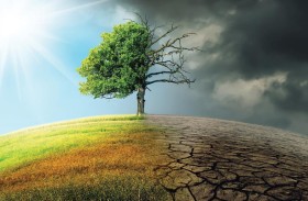 استراتيجيات و خطط الاستدامة .. مسرعات إماراتية على طريق الحياد المناخي في 2050