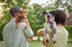 علاقة الإنسان والكلب تعود لأكثر من 14 ألف عام