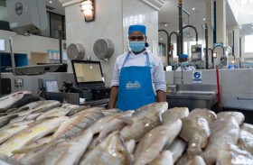 سوق الجبيل يوفر الأسماك الموسمية حفاظاً على استدامة الثروة السمكية بالإمارات