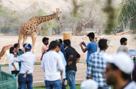  صحارى العالم وجه سياحي مميز لحديقة الحيوانات بالعين