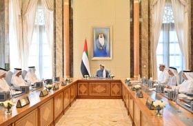 منصور بن زايد يترأس اجتماع اللجنة التنفيذية لمجلس إدارة شركة مبادلة للاستثمار  