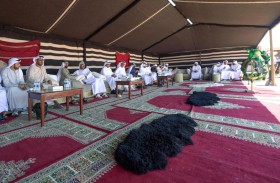 سفراء يزورون جناح الدولة في موسم طانطان الثقافي 2024