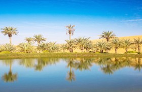 اليوم العالمي للبيئة 2026 أبوظبي تقود صياغة الحلول البيئية عبر الابتكار العلمي