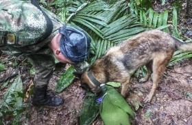 نجاة 4 أطفال بعد أسبوعين من تحطم طائرة 