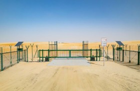 بلدية منطقة الظفرة : إغلاق وصيانة البوابات الإلكترونية على الطرق للحد من حوادث الحيوانات السائبة