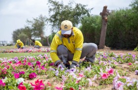 بلدية الحمرية تطلق مبادرة «أجمل مما كان» لمعالجة آثار الحالة الجوية وتعزيز المظهر الحضاري