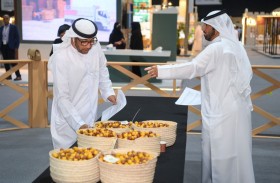 5 أطنان رطب يستقبلها مهرجان ليوا خلال يومين