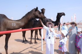 مزاينة سويحان بمهرجان الظفرة توفر  تجربة تراثية مميزة للسياح