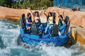 موشنجيت دبي تحتفل بيوم المرأة وتطرح تذاكر بسعر ميسر للسيدات  