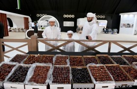 تحت رعاية حمدان بن زايد.. «الظفرة للتمور» ينطلق اليوم والكويت ضيف الشرف