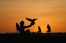 هيئة أبوظبي للتراث شريكاً تراثياً لـمعرض أبوظبي الدولي للصيد والفروسية 2024