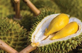 استنفار قوات الإطفاء بسبب «فاكهة»