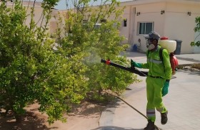 بلدية مدينة أبوظبي تنفذ حملة لمكافحة الحشرات والقوارض والآفات الضارة في جزيرة العالية
