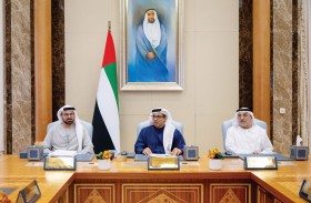 برئاسة منصور بن زايد..المجلس الوزاري للتنمية يستعرض مستجدات تنفيذ السياسات والبرامج الحكومية   