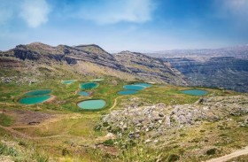 الزراعة في لبنان تواجه الجفاف 