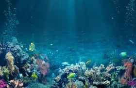 ألوان محيطات العالم تتغير.. كيف يحدث ذلك ولماذا؟