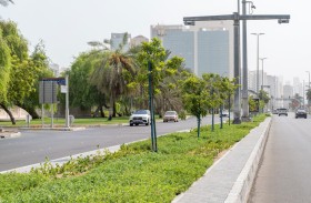 رفع كفاءة أصول التجميل الطبيعي في شارع «هزاع بن زايد» بأبوظبي 