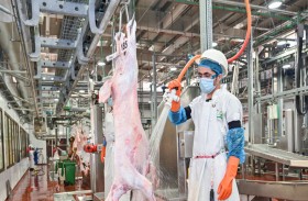 بلدية مدينة أبوظبي ترفع جاهزية المسالخ لاستقبال 37 ألف أضحية وذبيحة خلال أيام عيد الأضحى