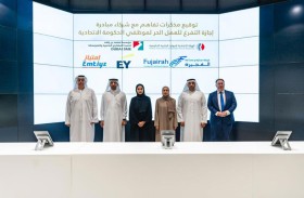 الدفعة الأولى من موظفي الحكومة الاتحادية تبدأ رحلة العمل الخاص ضمن إجازة التفرغ للعمل الحر