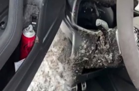 عبوة مياه غازية داخل سيارة تتسبب في كارثة