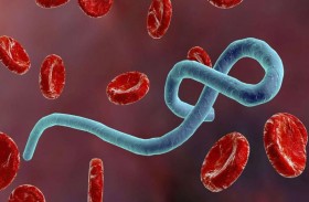 العثور على الفيروس القاتل في أدمغة المتعافين من حمى إيبولا