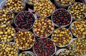 برعاية منصور بن زايد .. مهرجان ليوا للرطب ينطلق اليوم