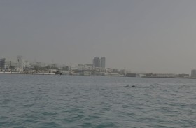 دراسة لجامعة السوربون أبوظبي تكشف عن أنماط مميزة للتنوع البيولوجي في الدولة