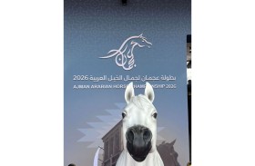 تطبيق نظام «ربدان» في بطولة عجمان الـ23 لجمال الخيل العربية