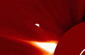 أكبر من الأرض بـ10 مرات.. كشف لغز «الطائر العملاق»