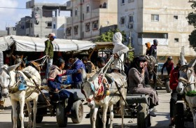 الحمير شريان حياة لسكان غزة في زمن الحرب 