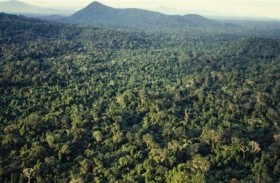 غابة الأمازون تتحول مصدرا لثاني أكسيد الكربون