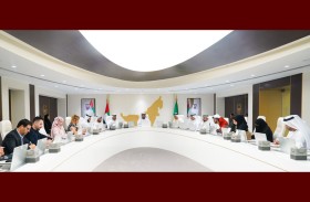 شرطة دبي: «عملية المجهر» تطيح بعصابة دولية متخصصة في سرقة الفلل