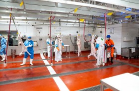 رفع القدرة الاستيعابية بمسالخ الظفرة لتلبية الطلب المتزايد خلال شهر رمضان