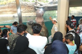 حديقة الحيوانات بالعين تنظم ويكند الفنون احتفالاً باليوم العالمي لفرس النهر