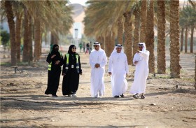 بلدية مدينة العين تطبق الري تحت السطحي لتقليل الهدر في ري الأشجار