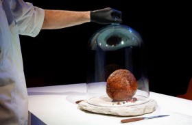 الكشف عن كرة ضخمة من لحم «الماموث المنقرض» 
